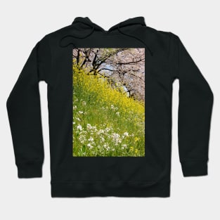 Cherry Blossom Hill Hoodie